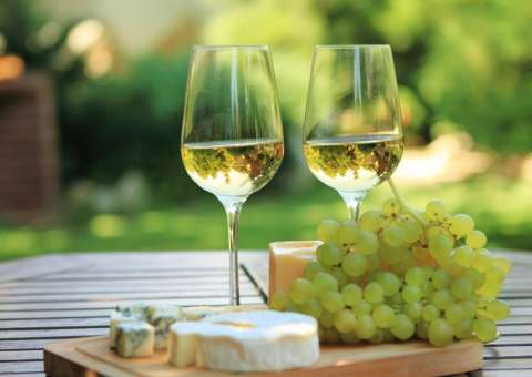 Beber vinho branco eleva riscos de contrair doenças de pele, diz pesquisa