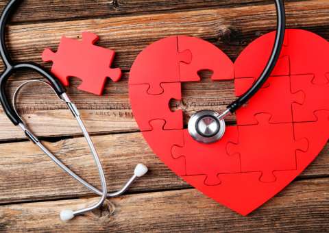 Semente de flor ajuda a combater o mau colesterol 