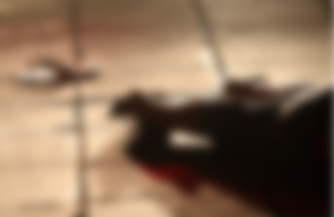 Degolado e com mãos amarradas, corpo de caseiro é encontrado em Manaus