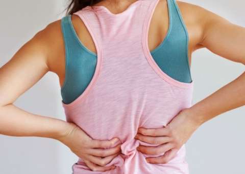 Com ação diurética, erva combate dores corporais e infecções nas vias urinárias