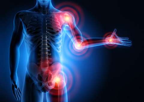 Planta é indicada para tratar reumatismo e tumores 