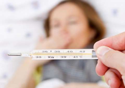 Planta é indicada para combater febre causada por malária 