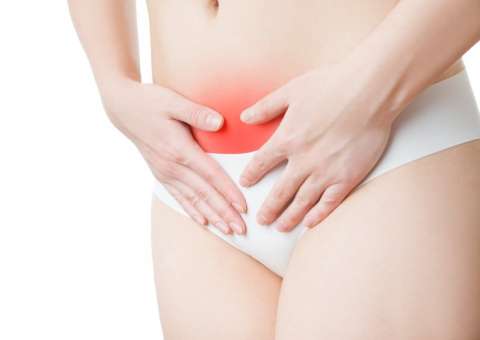 Planta pode combater contusões e hemorragia uterina 