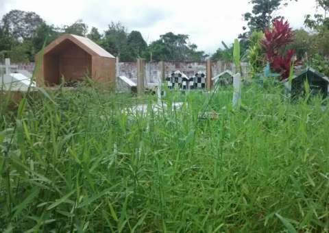 Moradores denunciam descaso e abandono com cemitérios no Amazonas