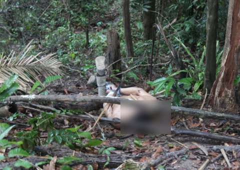 Com cabeça esmagada, corpo de homem é encontrado em matagal de Manaus