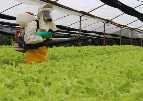 Governo oferece curso sobre uso de agrotóxicos para agricultores no AM