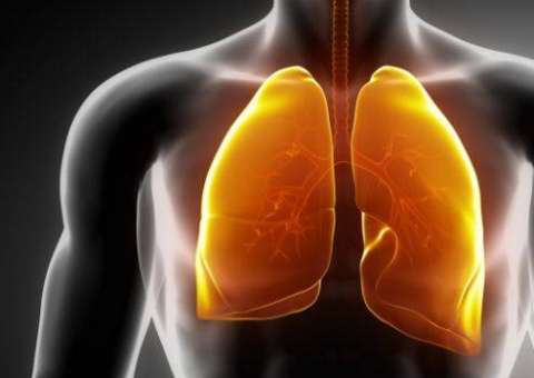 Câncer de pulmão é ‘evitável’; Saiba como previnir
