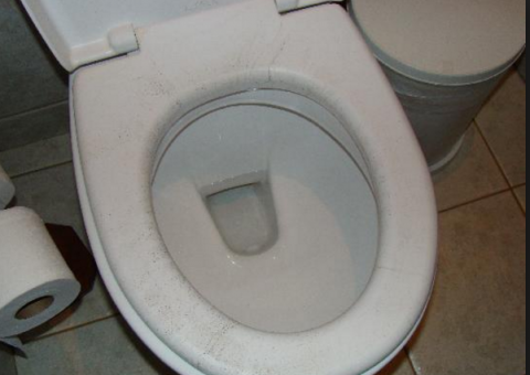 Homem espalha cinzas de amigo em vaso sanitário