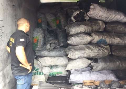 Duas toneladas de carvão vegetal ilegal são apreendidas na zona Leste de Manaus