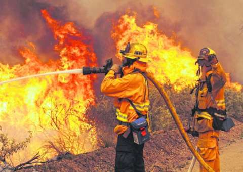 Ibama abre vagas para brigadistas florestais no Amazonas 