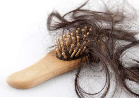 Espécie de planta é eficiente contra queda de cabelo 