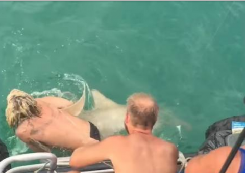 Jovem tenta 'domar' tubarão com corda e o pior acontece, Veja vídeo