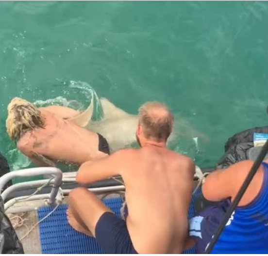Jovem tenta 'domar' tubarão com corda e o pior acontece, Veja vídeo