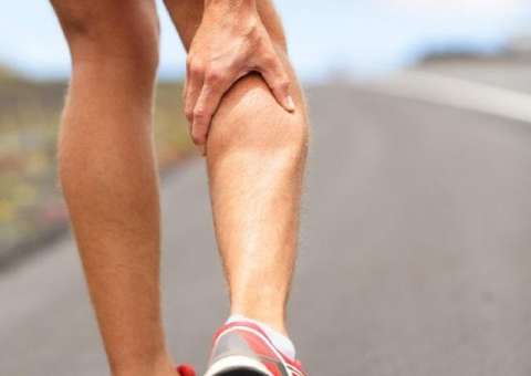 Chá de planta é indicado para dores musculares e cãibras 