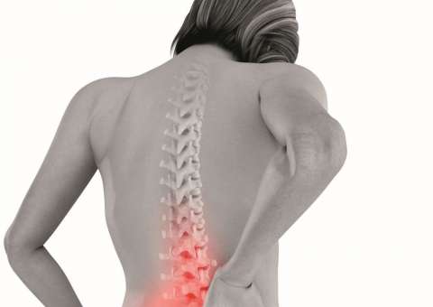 Conheça alimentos ricos em Vitamina D que ajudam evitar osteoporose 