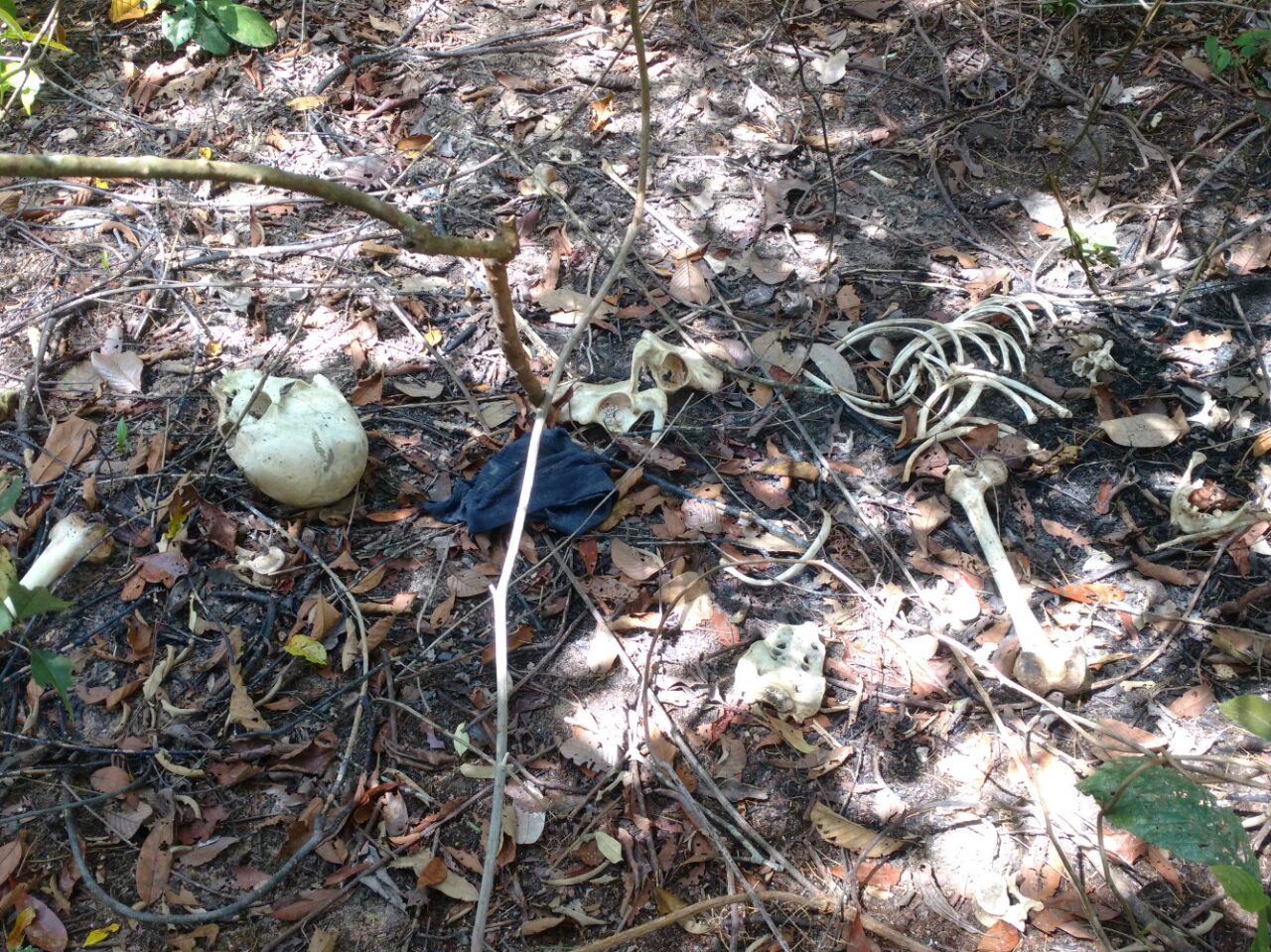 Ossada humana é achada em ramal de Manaus