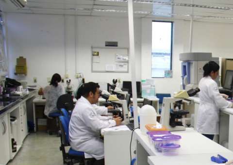 Hemoam atinge 100% de satisfação em avaliação nacional 