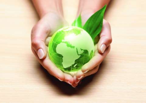 Manaus sediará seminário sobre Zoenamento Ecológico-econômico na Amazônia Legal 