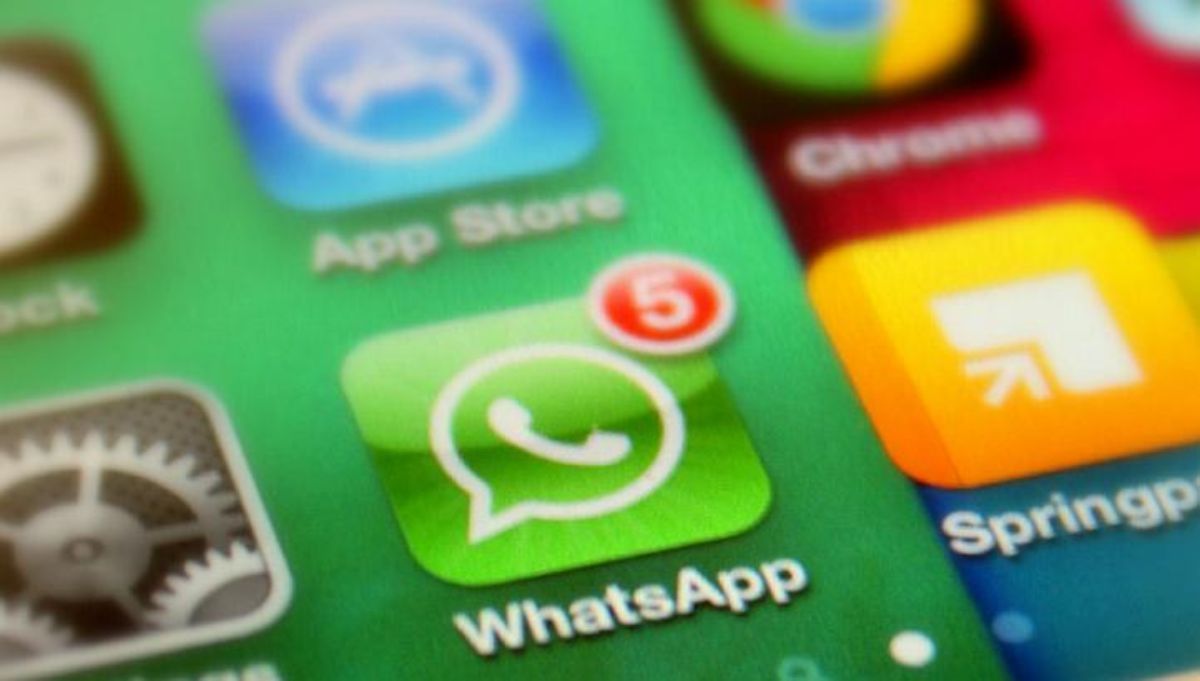 Administradores de grupos de WhatsApp podem ser punidos pelo que é postado por membros