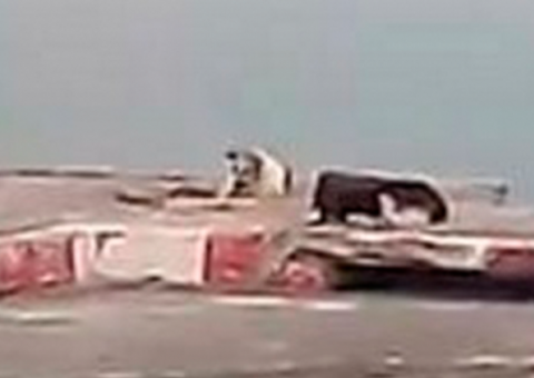 Em plena luz do dia, casal é flagrado fazendo sexo em praia 