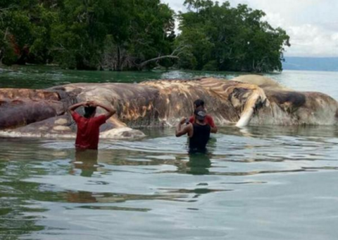 Criatura bizarra aparece em praia e moradores ficam aterrorizados 