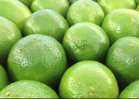 Saiba usar limão para regular intestino, controlar colesterol e queimar gordurinhas