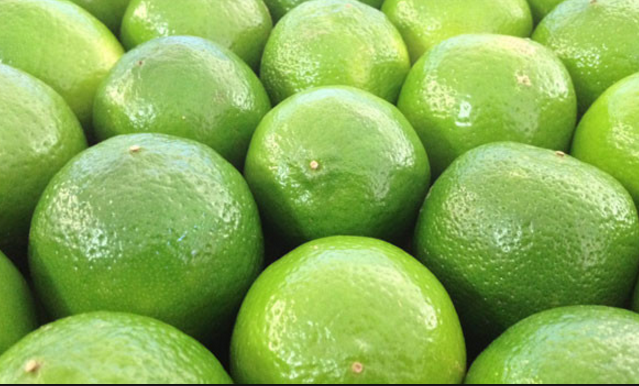 Saiba usar limão para regular intestino, controlar colesterol e queimar gordurinhas