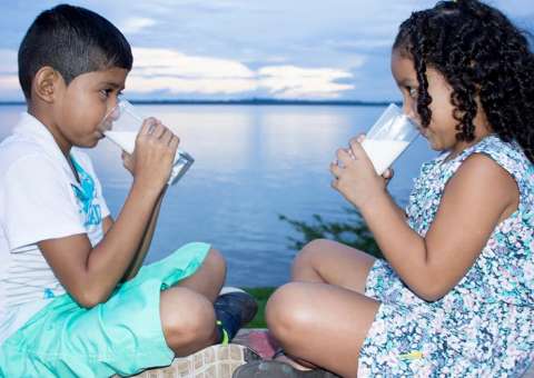 Programa social distribui 165 mil litros de leite em 2 meses