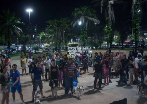 Clube do Pit Bull promove desfile com cachorros para celebrar 3 anos em Manaus