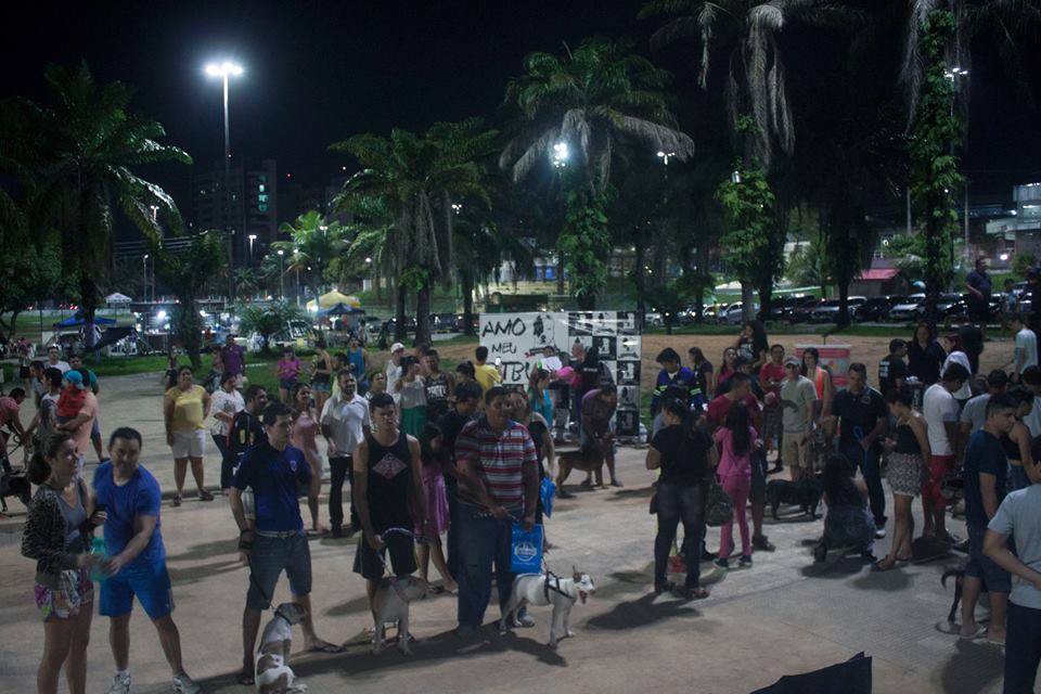Clube do Pit Bull promove desfile com cachorros para celebrar 3 anos em Manaus