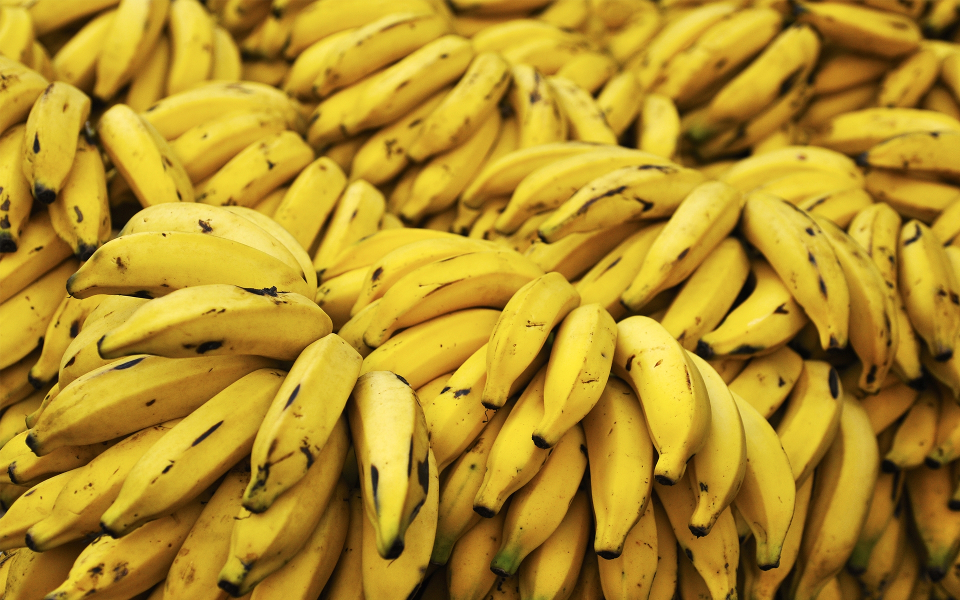 10 Problemas que a banana resolve melhor que remédios químicos