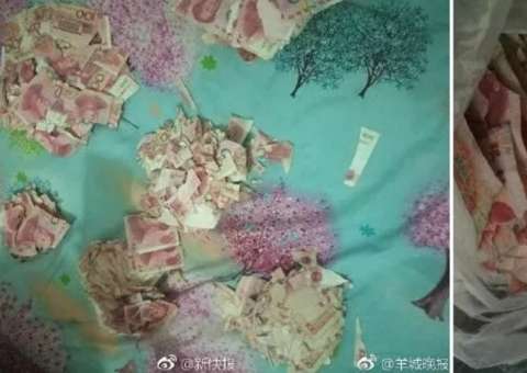 Menino rasga notas no valor de R$ 23 mil, e banco se recusa a trocá-las