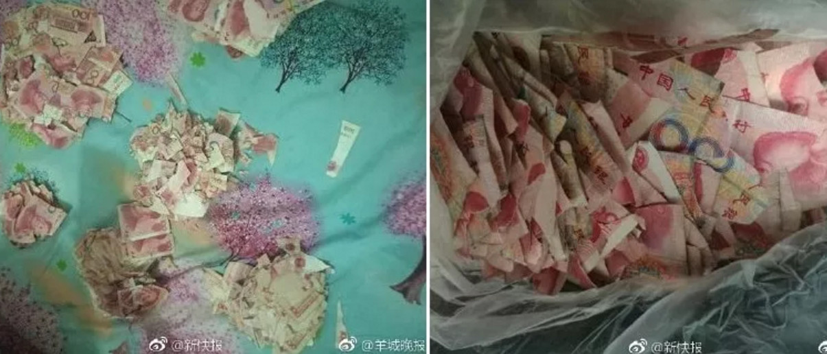 Menino rasga notas no valor de R$ 23 mil, e banco se recusa a trocá-las