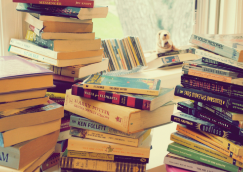 3ª Feira de Troca de Livros acontece nesta sexta-feira em Manaus