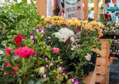 Feira criativa com produtos de até R$ 20 encerra nesta sexta-feira