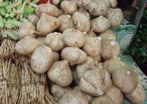 Batata com poder antienvelhecimento é afrodisíaca e antidepressiva 