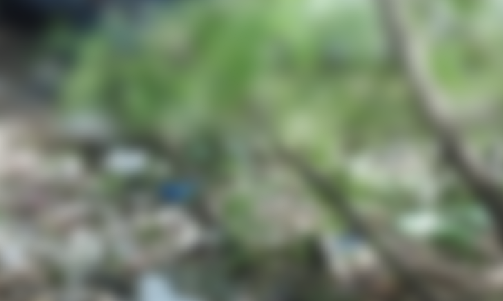 Desaparecido há 2 dias, corpo de jovem é encontrado na margem de igarapé em Manaus