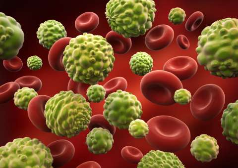 Câncer é destruído quando você come estes 10 alimentos