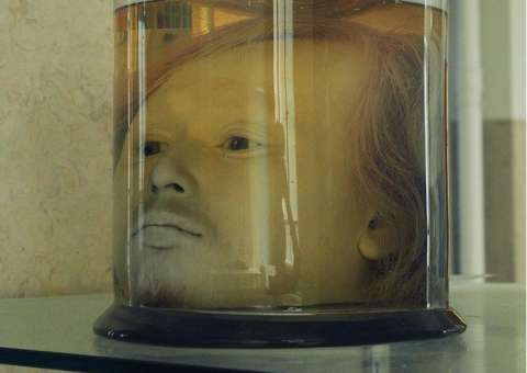 Cabeça de assassino exposta em faculdade assusta visitantes