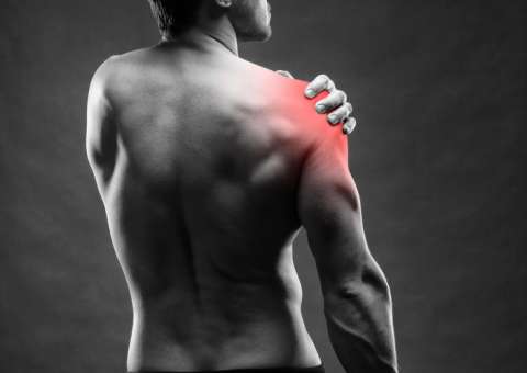 Chá de planta medicinal pode tratar inflamação muscular. Saiba como preparar 