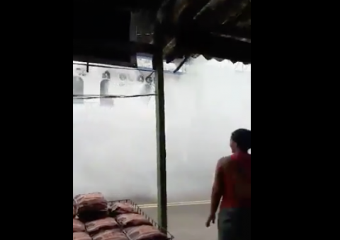 Morador filma ônibus 'dedetizador' em Manaus e vídeo bomba nas redes sociais