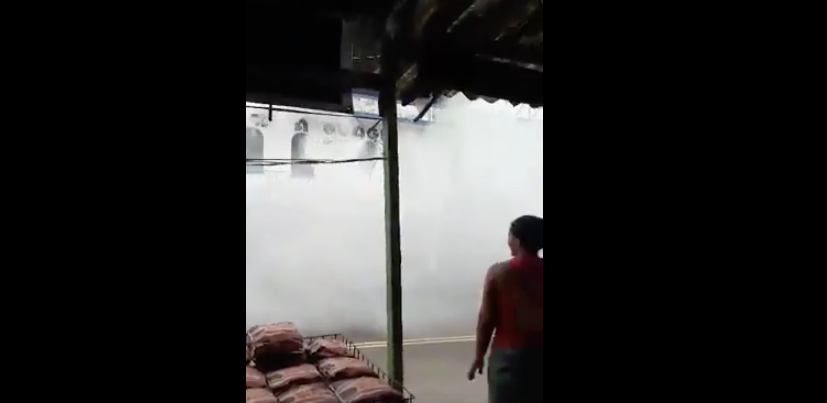 Morador filma ônibus 'dedetizador' em Manaus e vídeo bomba nas redes sociais