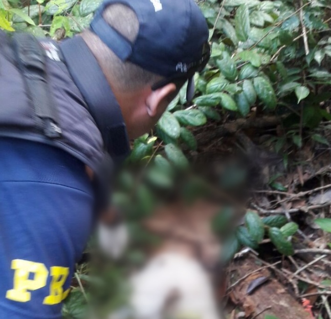 Com mãos amarradas, corpo de homem é encontrado em estrada no AM