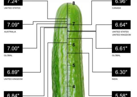 Estudo feito com 15 mil homens revela tamanho 'normal' de pênis
