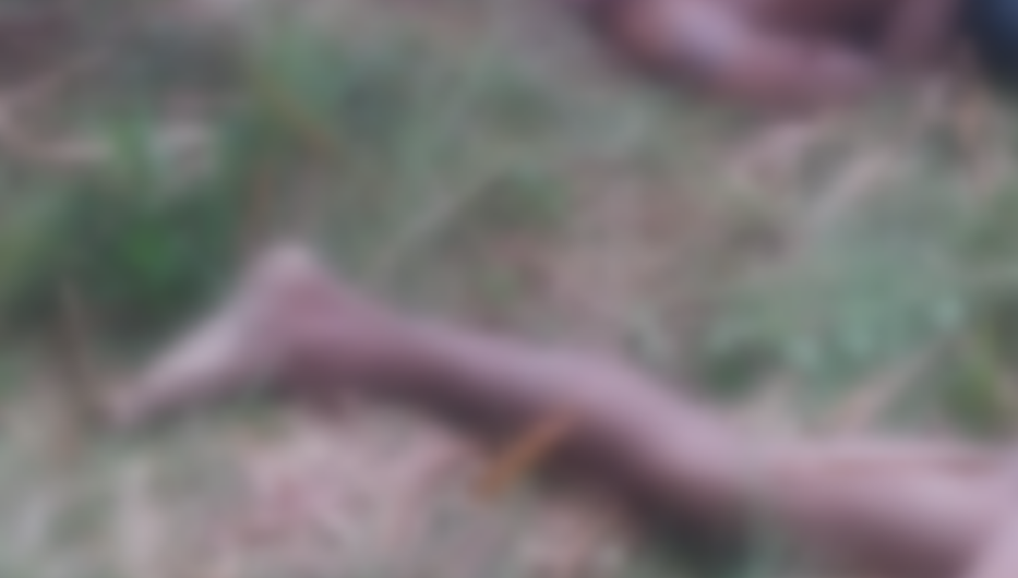 Decapitados, corpos de homens são encontrados em ramal de Manaus