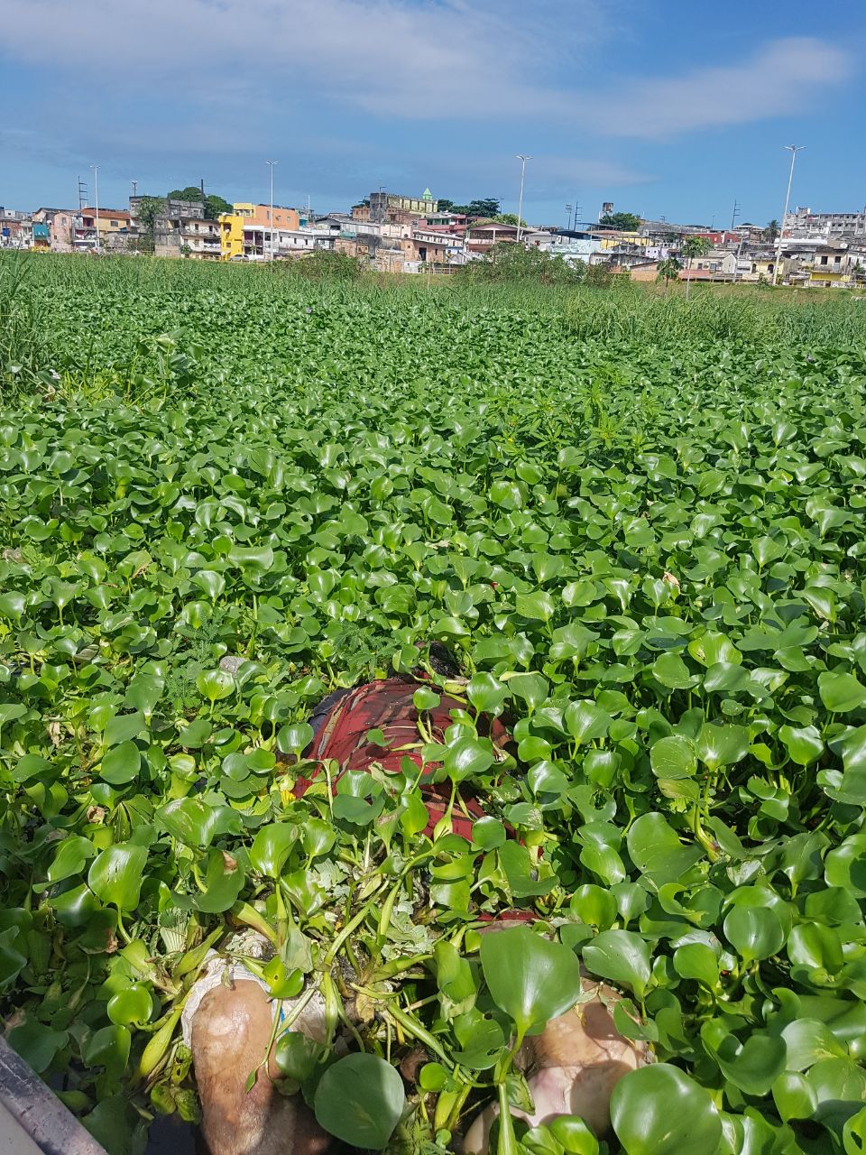 Enrolado em rede, corpo de homem é encontrado boiando em Manaus