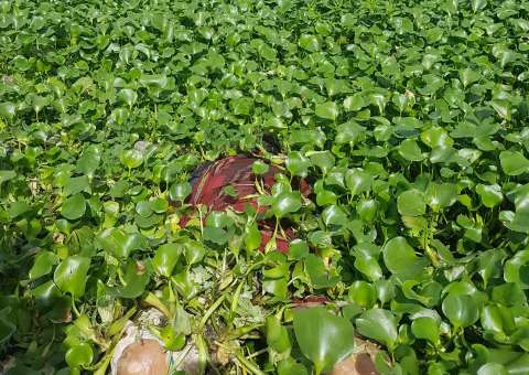 Enrolado em rede, corpo de homem é encontrado boiando em Manaus