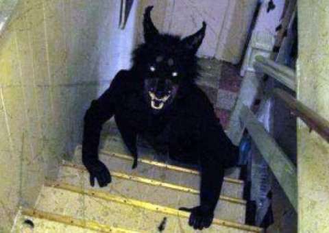 Invocação do Mal 3 pode contar história real de lobisomem