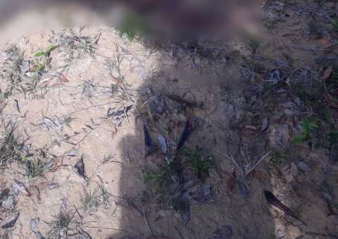 Corpo de homem é encontrado em sítio no AM