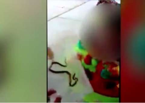 Mãe deixa filha de um ano ser picada por cobra e motivo é 'bizarro'